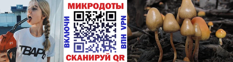 Псилоцибиновые грибы Cubensis MEGA ССЫЛКА Малоярославец